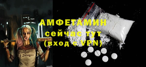 прущие грибы Новозыбков