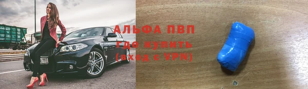 прущие грибы Новозыбков