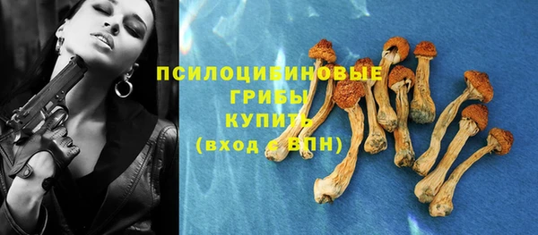 гашик Нязепетровск