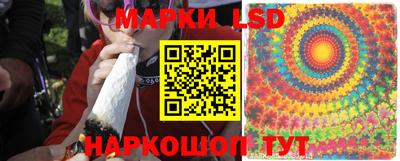 mdpv Лесосибирск