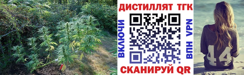 кракен   Сальск  ТГК жижа 