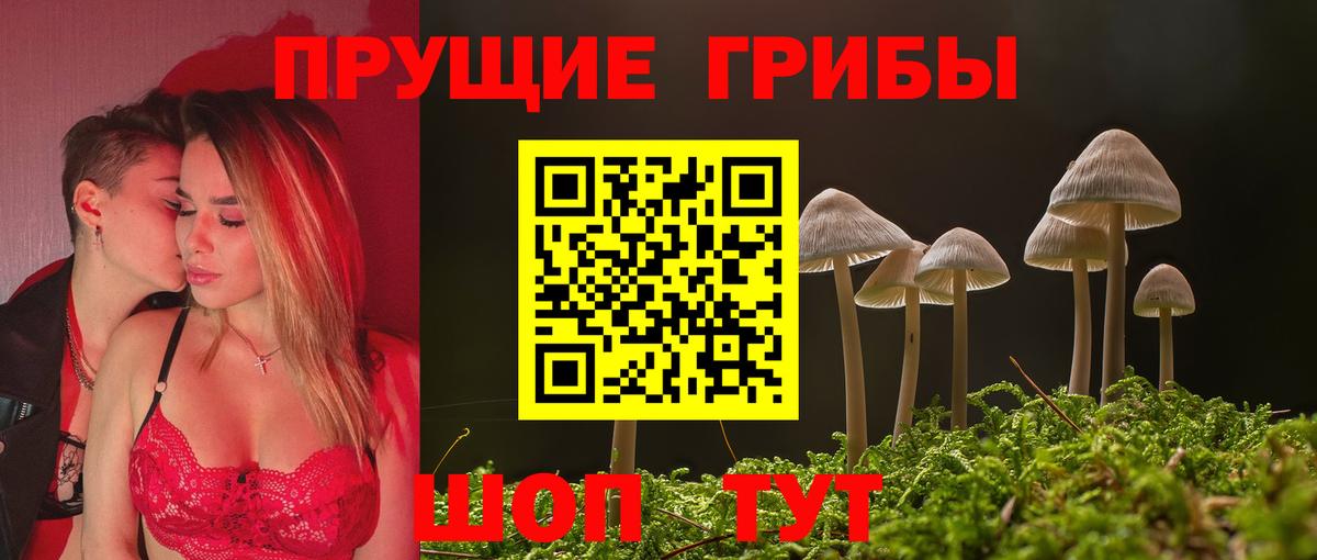 Сальск  Псилоцибиновые грибы прущие грибы  Псилоцибиновые грибы мицелий  Вход с VPN 