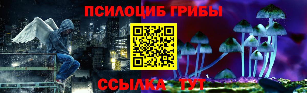 Галлюциногенные грибы GOLDEN TEACHER Сальск